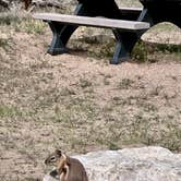 Review photo of Green River Campground — Dinosaur National Monument by Kirsten L., April 25, 2026