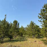 Review photo of Grizzly Ridge Meadow Dispersed Area by Richard K., August 4, 2026