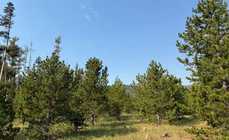 Richard K.'s photo of camping with pets at Grizzly Ridge Meadow Dispersed Area near Dinosaur National Monument