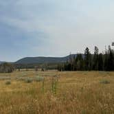 Review photo of Grizzly Ridge Meadow Dispersed Area by Richard K., August 4, 2026