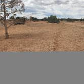 Review photo of Harris Wash Dispersed by Brianna M., June 13, 2025