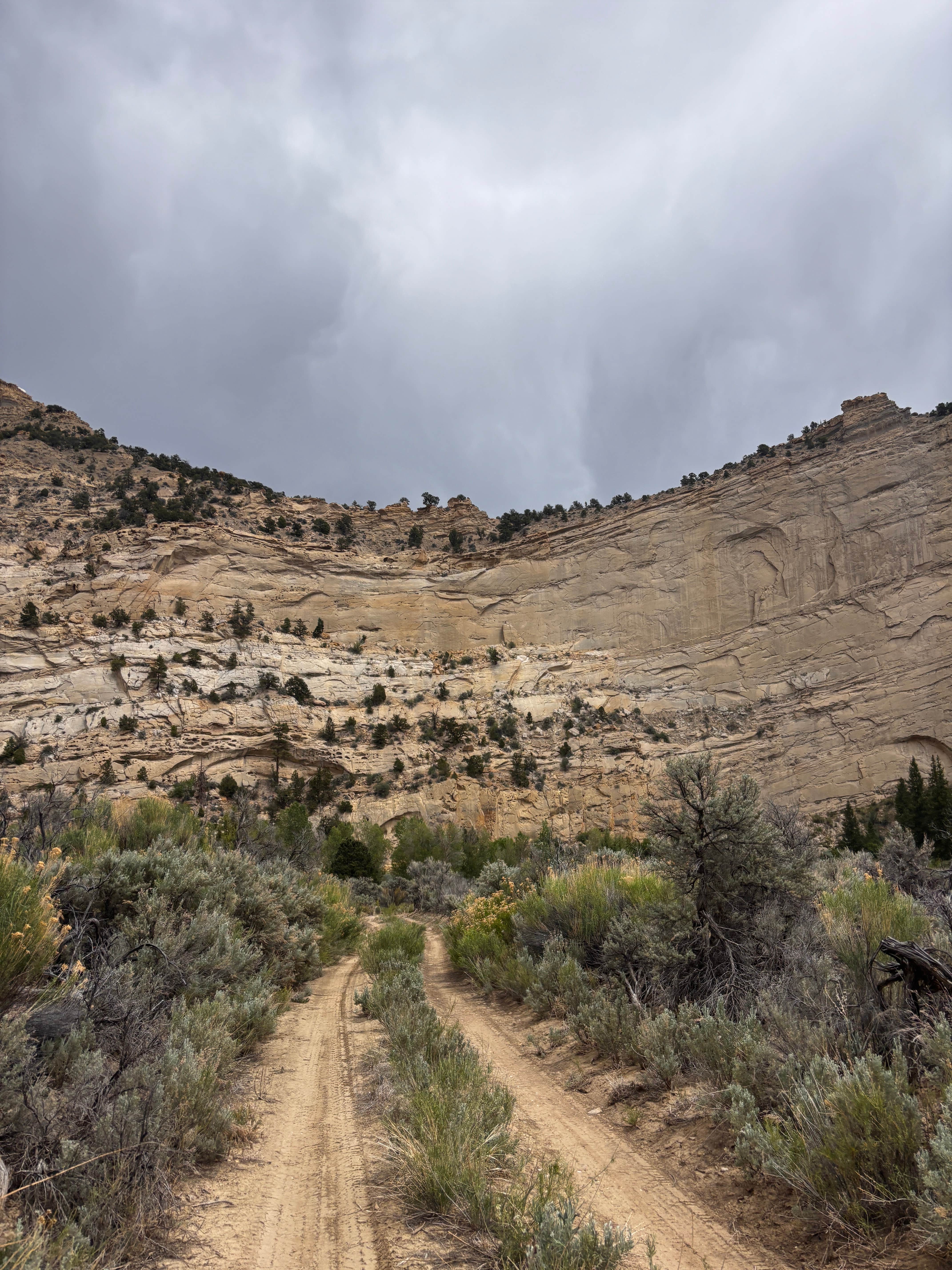 Camper-submitted photo at Henrieville Creek - Grand Staircase Nat Mon near Escalante, UT