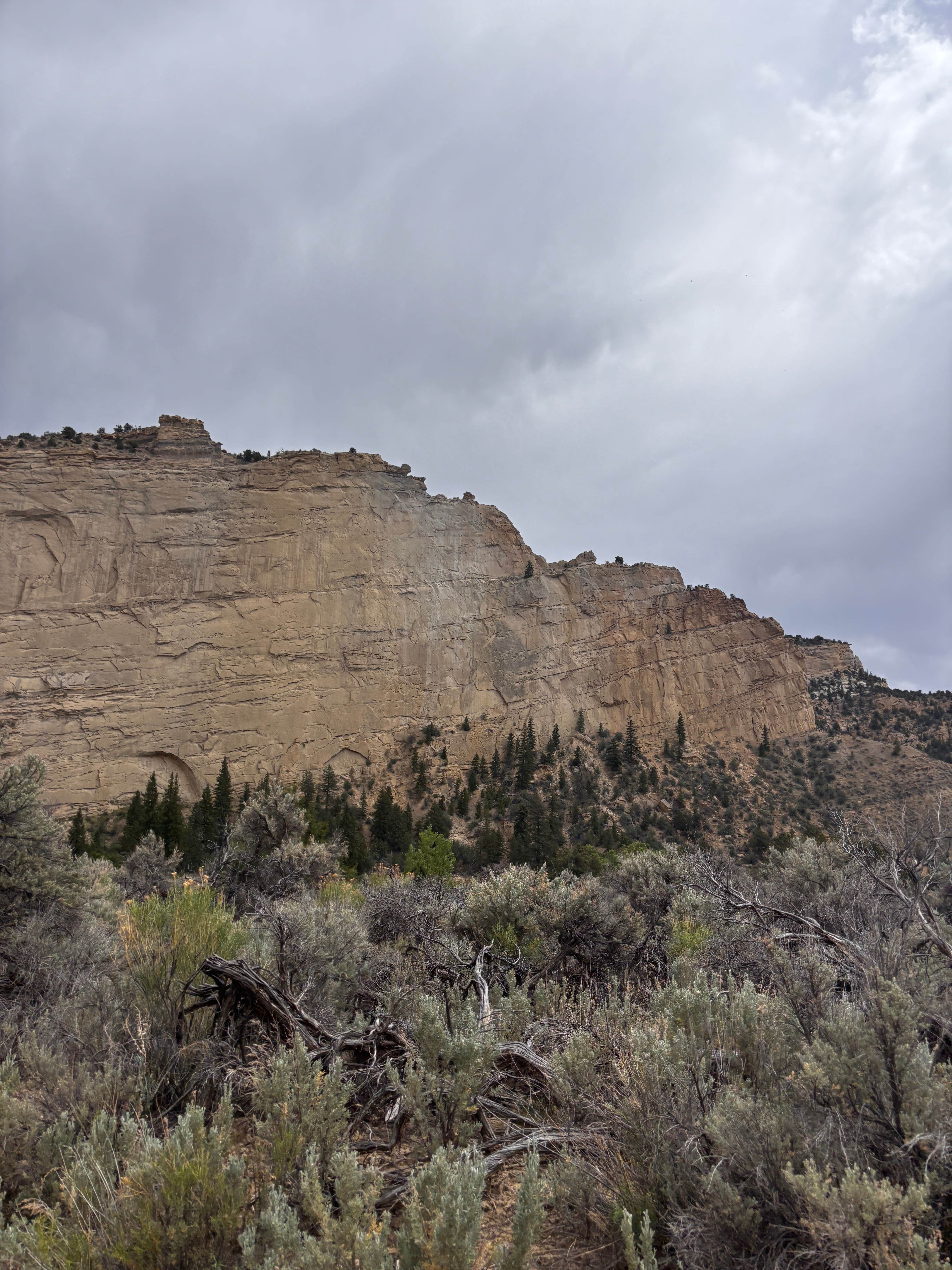 Camping near FS500 - Dispersed: Henrieville Creek - Grand Staircase Nat Mon, Henrieville, Utah