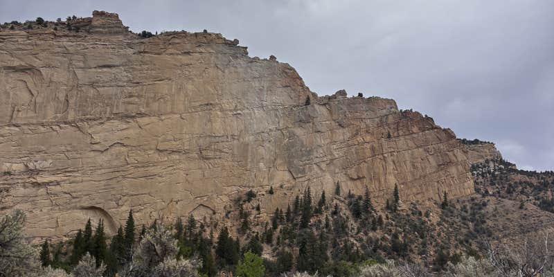 Camper submitted image from Henrieville Creek - Grand Staircase Nat Mon