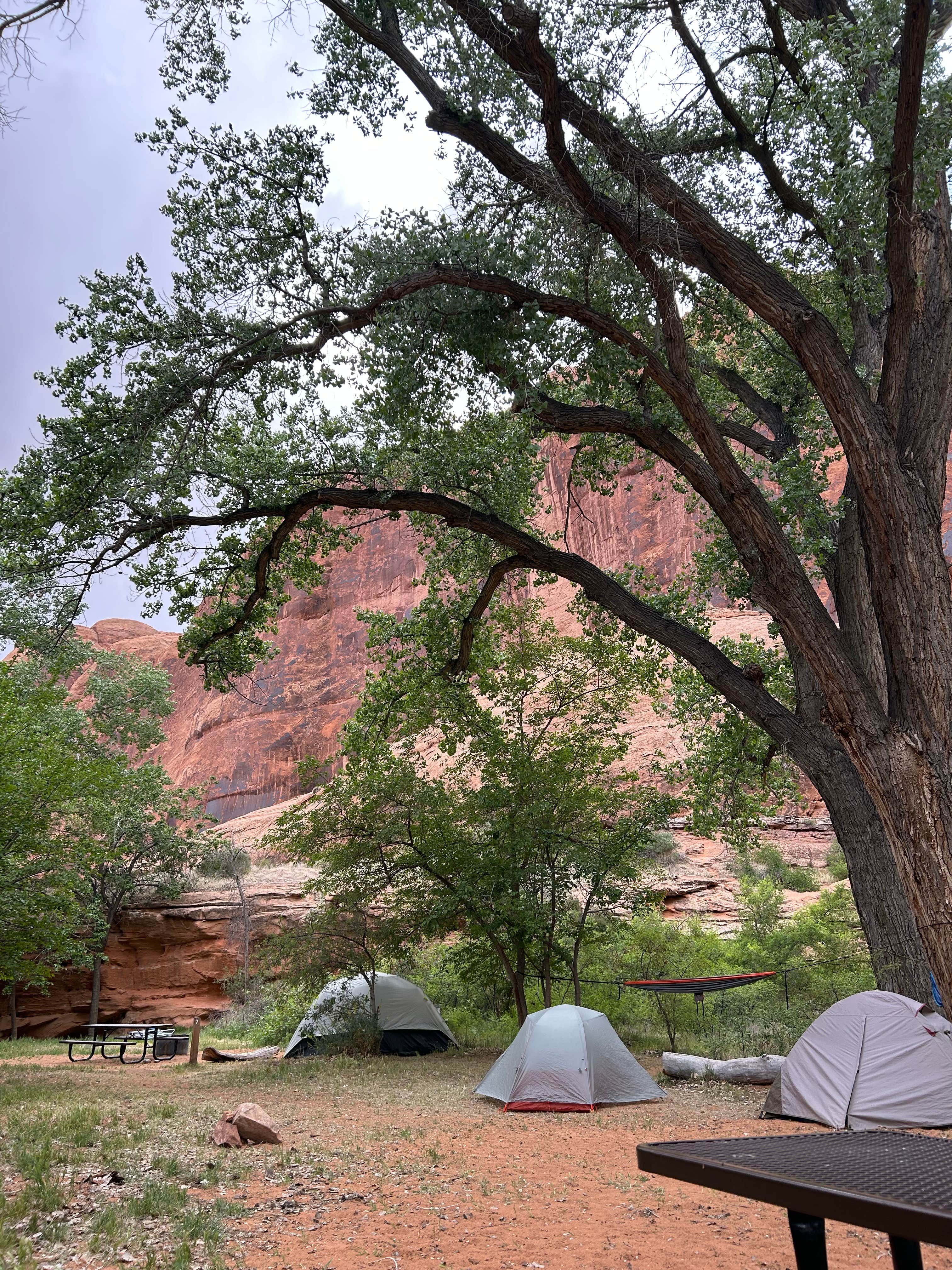 Camping near Williams Bottom Campground: BLM Jaycee Park, Moab, Utah