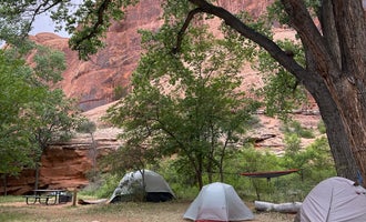 Camping near Moonflower Canyon Camping Area: BLM Jaycee Park, Moab, Utah