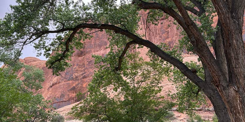 Camper submitted image from BLM Jaycee Park