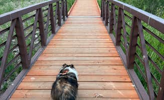 Jon M.'s photo of camping with pets at Rock Cliff Area Campground — Jordanelle State Park near Coalville, UT