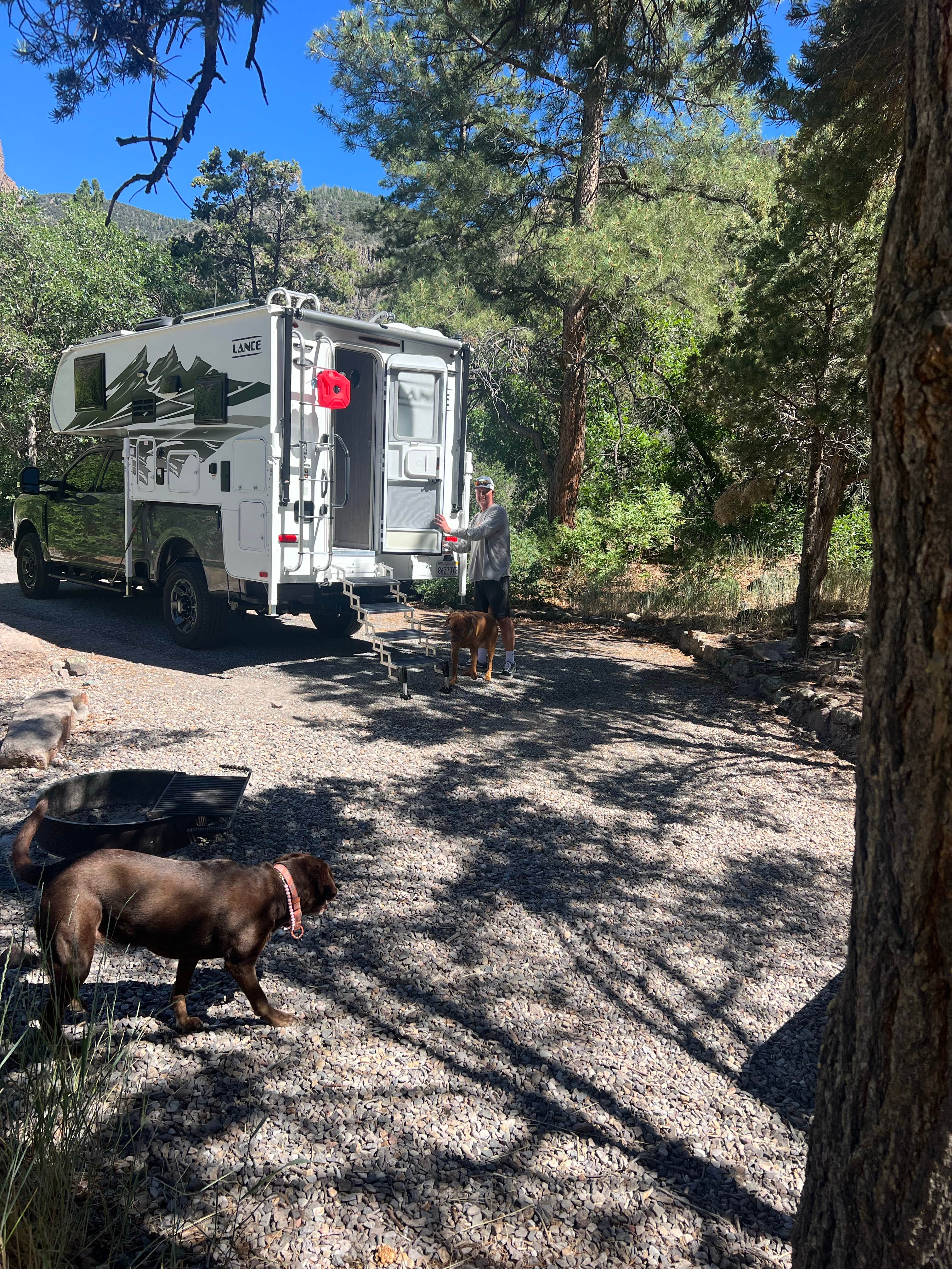 Stephanie G.'s photo of camping with pets at Little Cottonwood Campground near Beaver, UT
