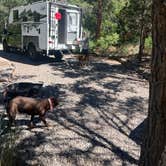 Review photo of Little Cottonwood Campground by Stephanie G., July 8, 2024