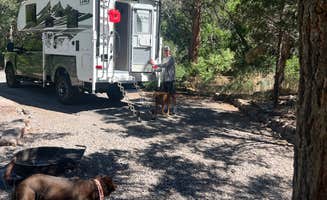 Stephanie G.'s photo of camping with pets at Little Cottonwood Campground near Cove, UT