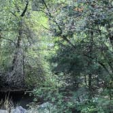 Review photo of Little Mill by Seren W., September 30, 2026