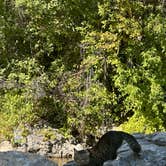 Review photo of Little Mill by Claire L., October 9, 2025