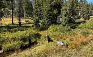 Casey M.'s photo of camping with pets at Lost Creek Campground near Hanna, UT