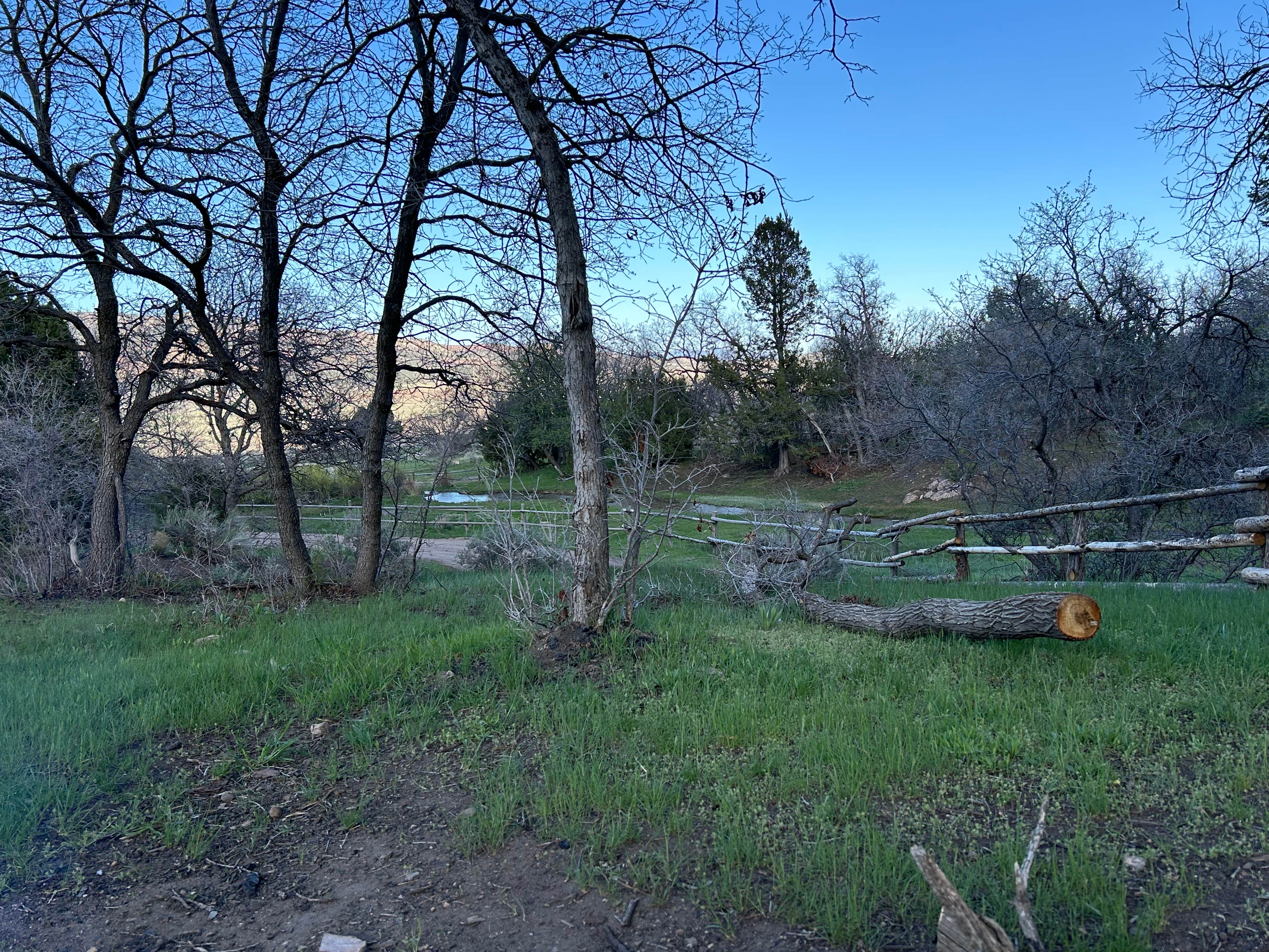 Camper-submitted photo at Maple Grove near Sigurd, UT