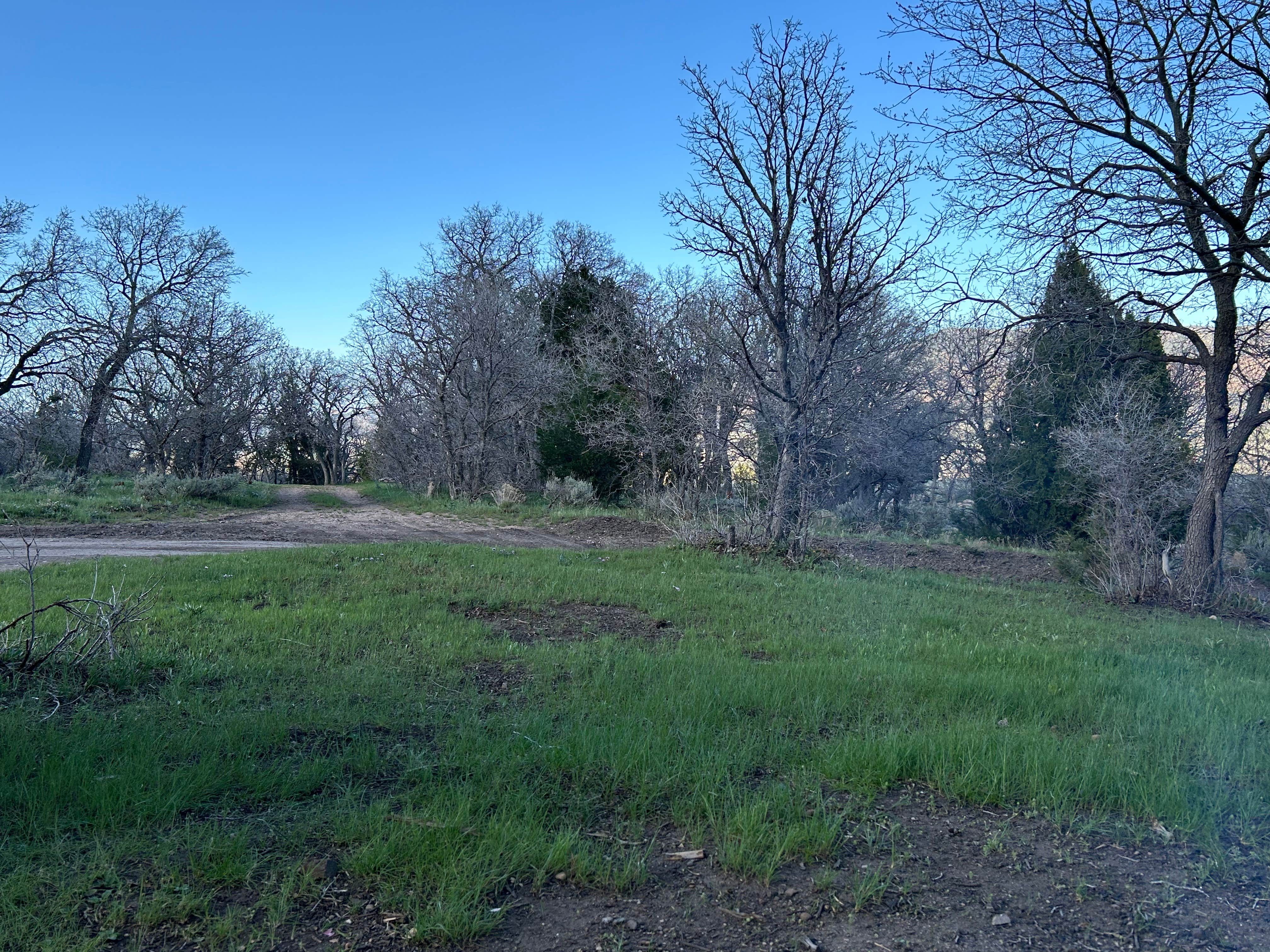 Camper-submitted photo at Maple Grove near Sigurd, UT