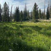 Review photo of Mirror Lake - Uinta Wasatch Cache National Forest by Casey M., July 17, 2025