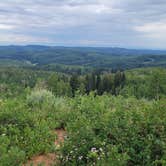 Review photo of Monte Cristo by Forrest W., July 19, 2026