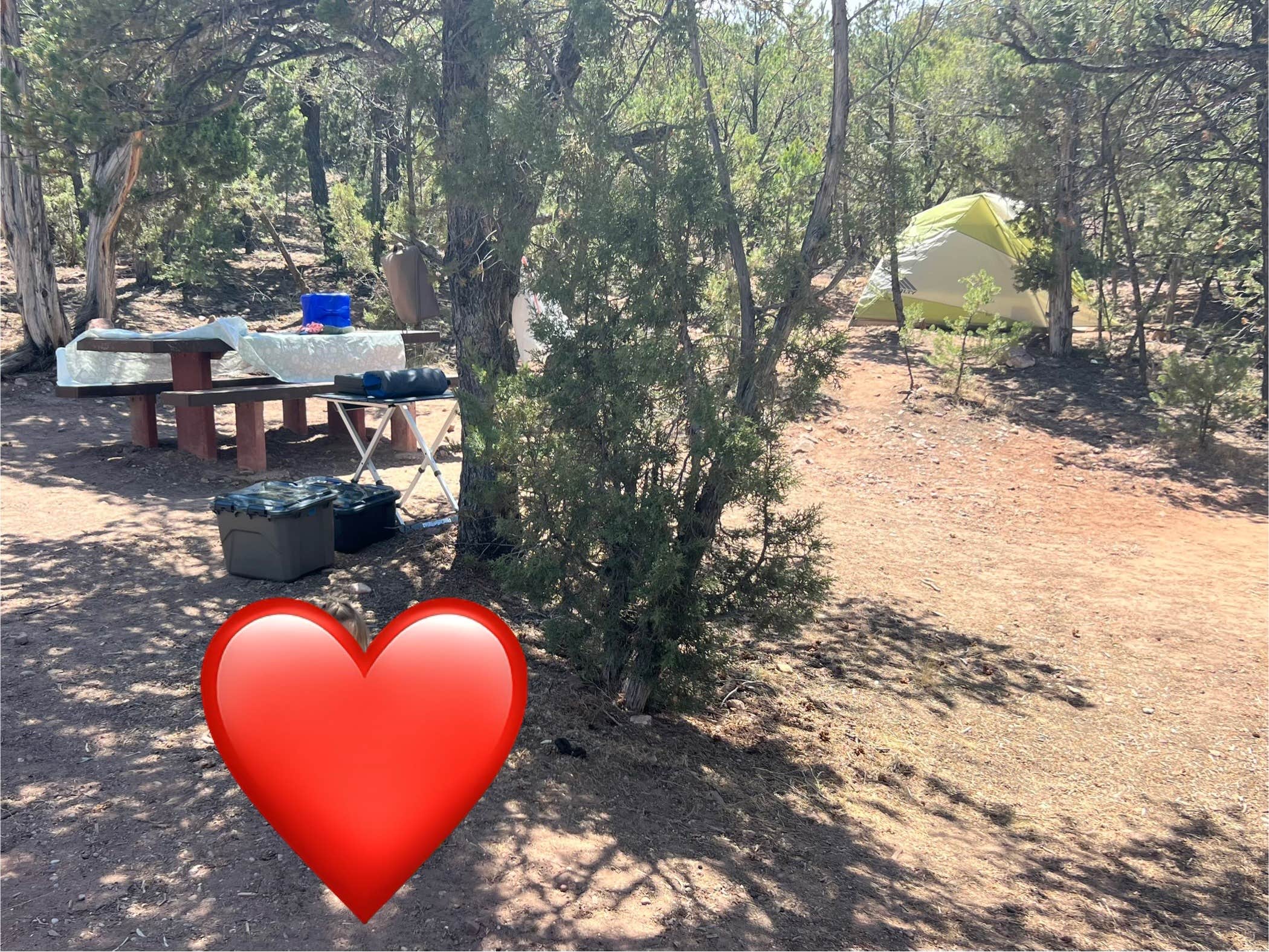 Erin S.'s photo at Mustang Ridge Campground near Flaming Gorge, UT