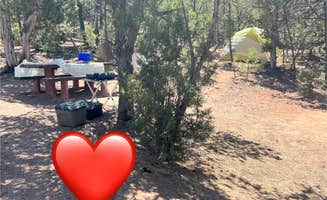 Erin S.'s photo at Mustang Ridge Campground near Ashley National Forest