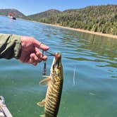 Review photo of Navajo Lake Campground by Sheila , August 6, 2026