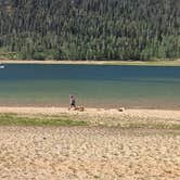 Review photo of Navajo Lake Campground by mark F., July 31, 2024