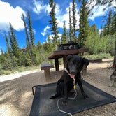 Review photo of Pine Lake Campground by Ty G., August 7, 2022