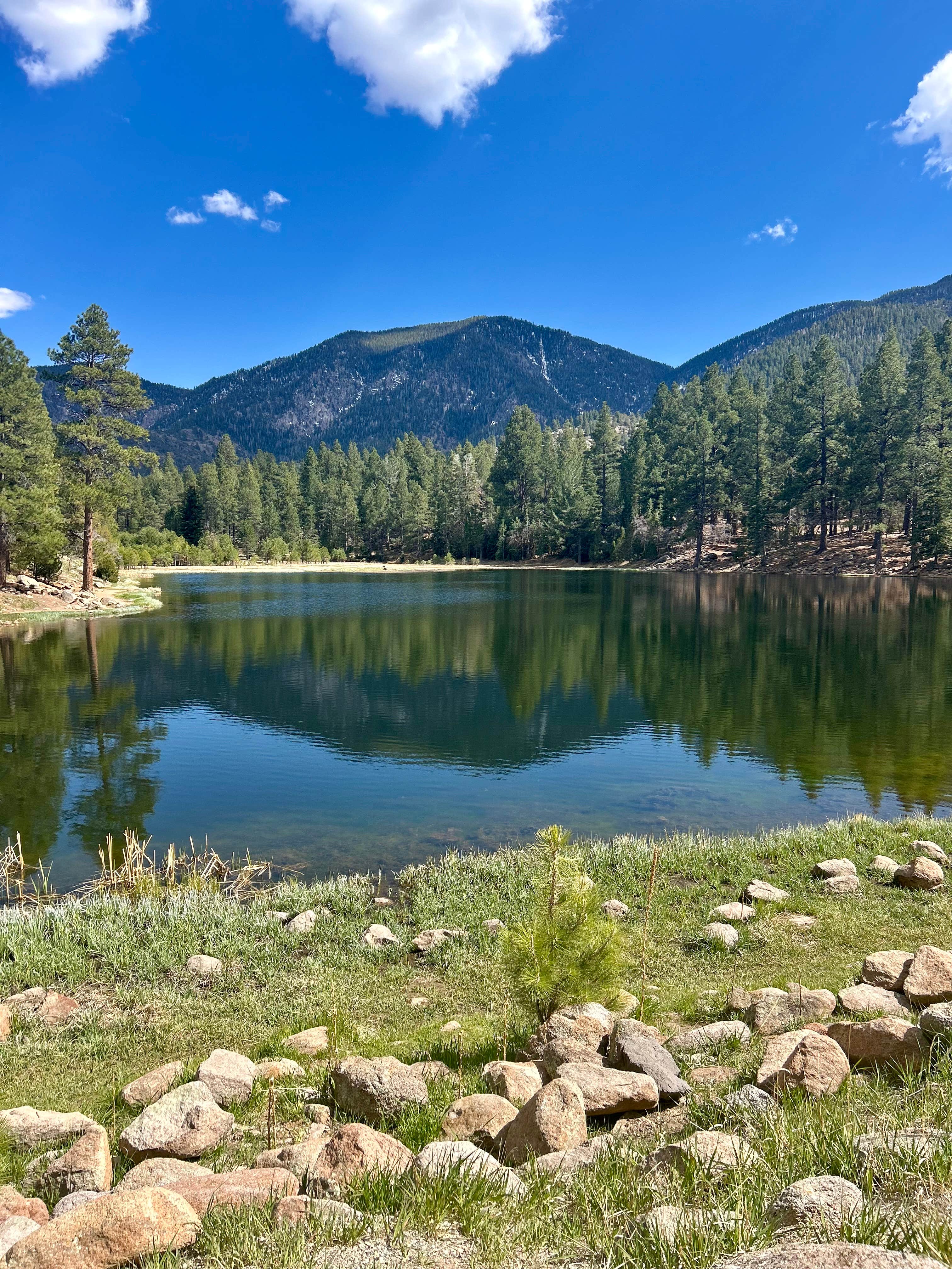 Camper submitted image from Dean Gardner Campground - 2
