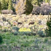 Review photo of Dean Gardner Campground by Michael C., May 4, 2025