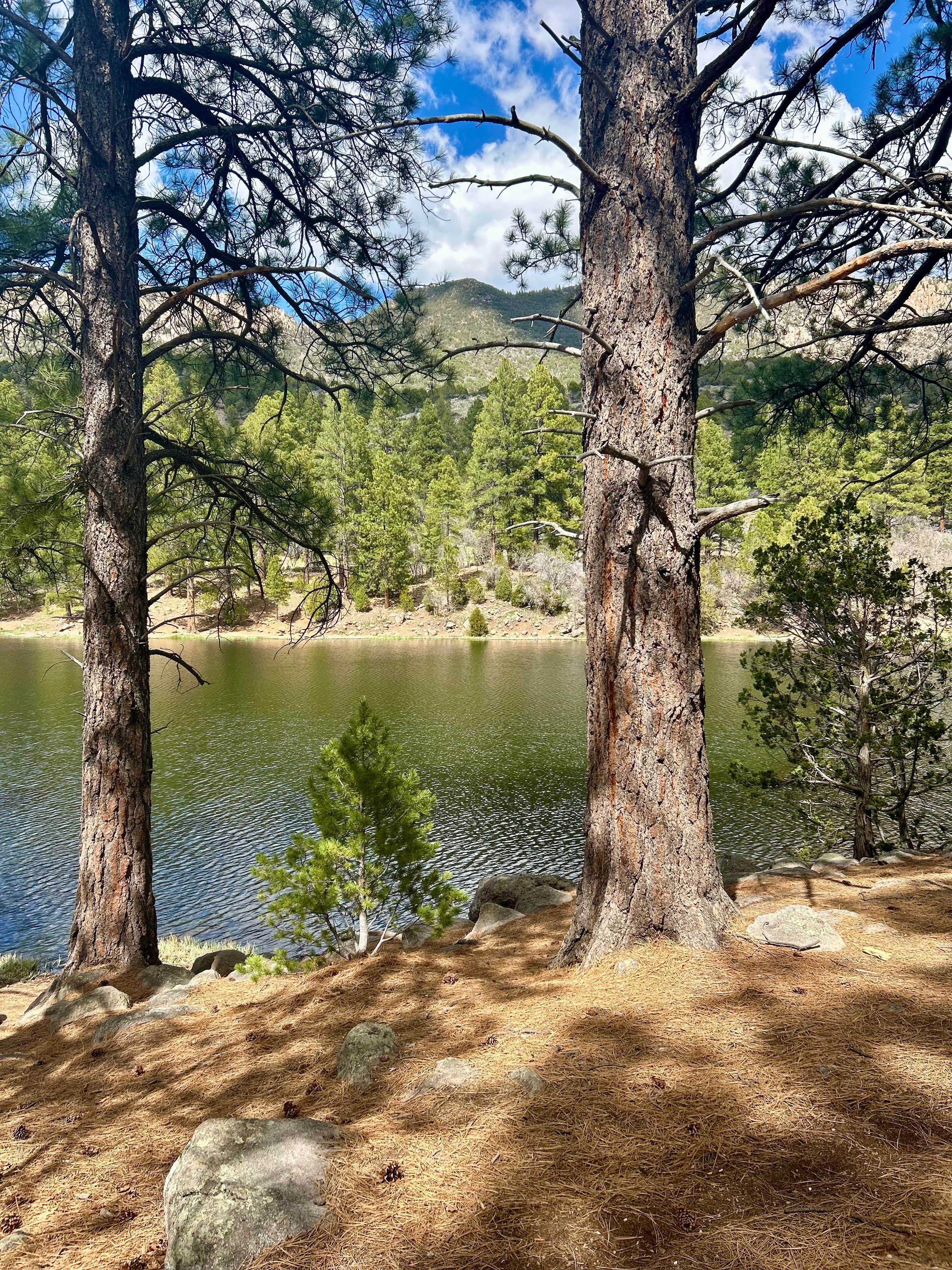 Camper submitted image from Dean Gardner Campground - 3