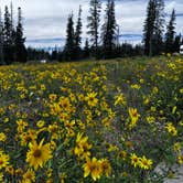 Review photo of Point Supreme Campground — Cedar Breaks National Monument by Johanna A., August 13, 2025
