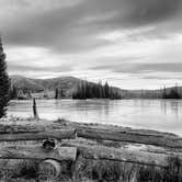 Review photo of Manti-LaSal National Forest Potters Pond Campground by Don N., February 8, 2024