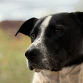 Review photo of Quail Creek State Park Campground by David N., November 20, 2025