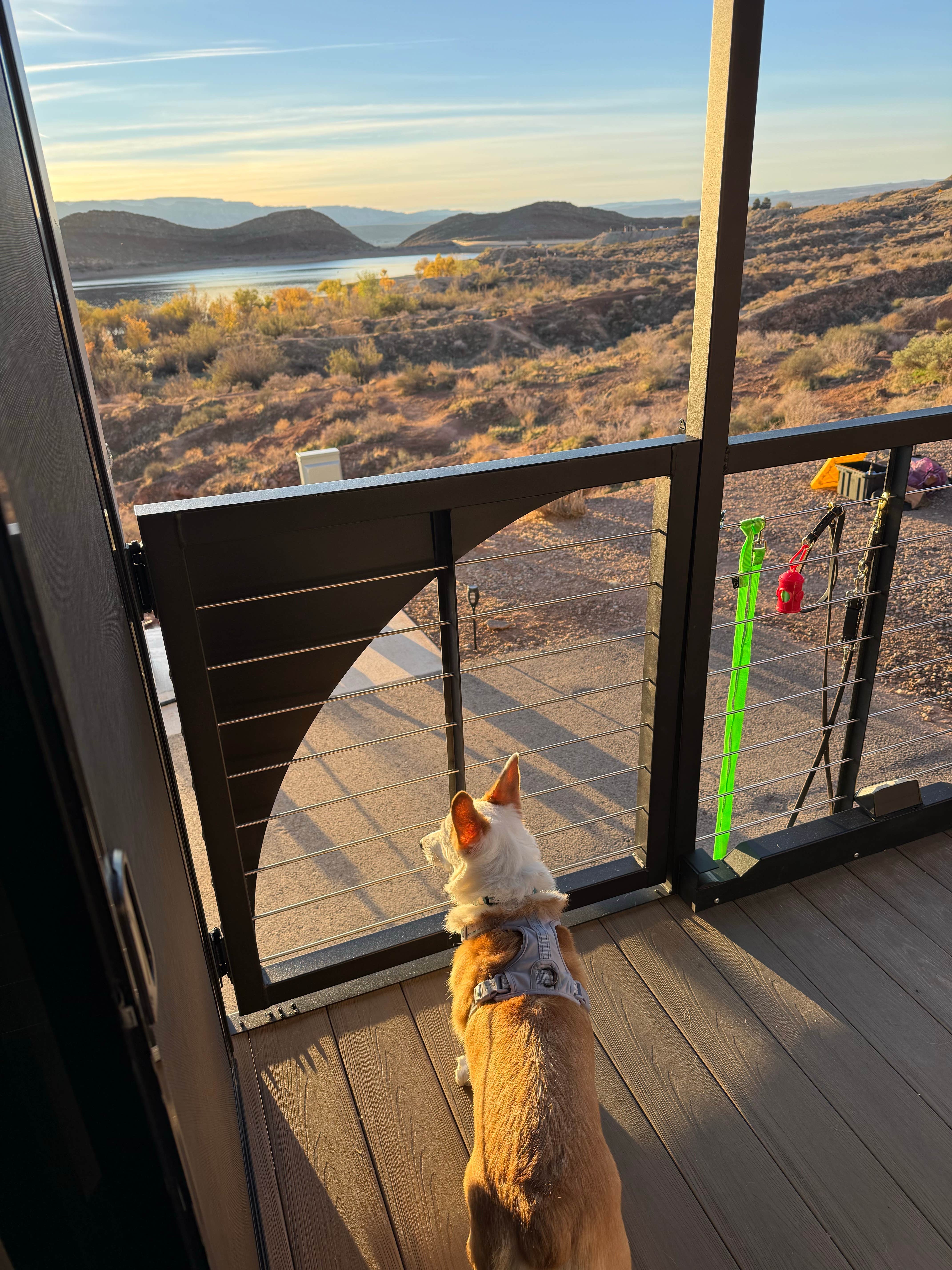 Michele H.'s photo of camping with pets at Quail Creek State Park Campground near Gunlock, UT