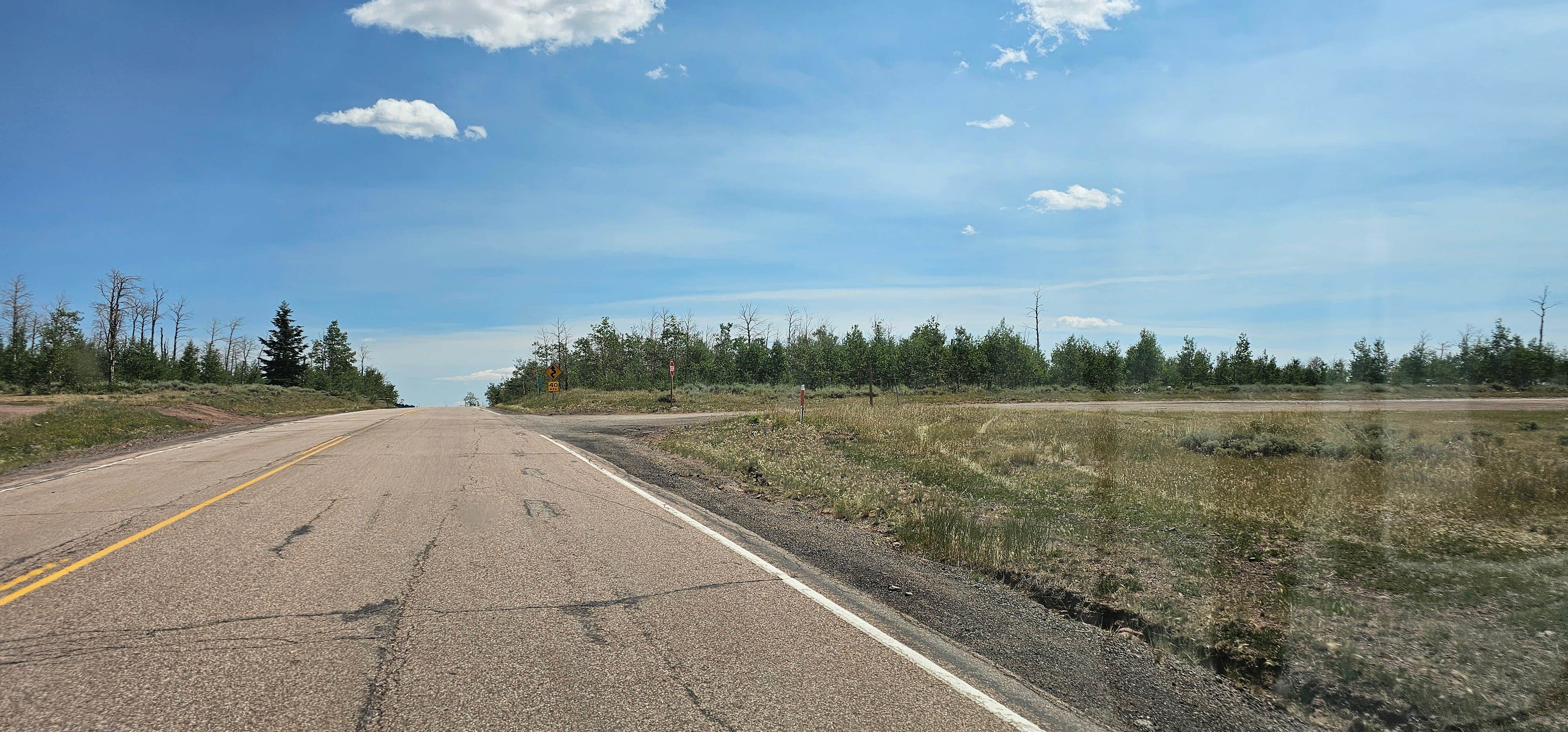 johny R.'s photo of a dispersed camping area at Range Study Area - FS Road #217 near Dinosaur, CO