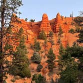 Review photo of Red Canyon Campground by Carol B., October 3, 2024