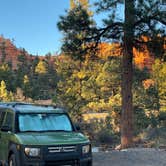 Review photo of Red Canyon Campground by Carol B., October 3, 2024