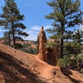 Review photo of Red Canyon Campground by Thanh H., July 25, 2024