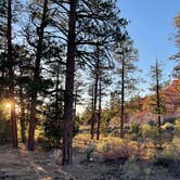 Review photo of Red Canyon Campground by Carol B., October 3, 2024