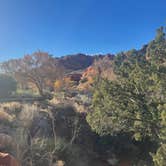 Review photo of Red Cliffs Campground by Jean F., November 25, 2023