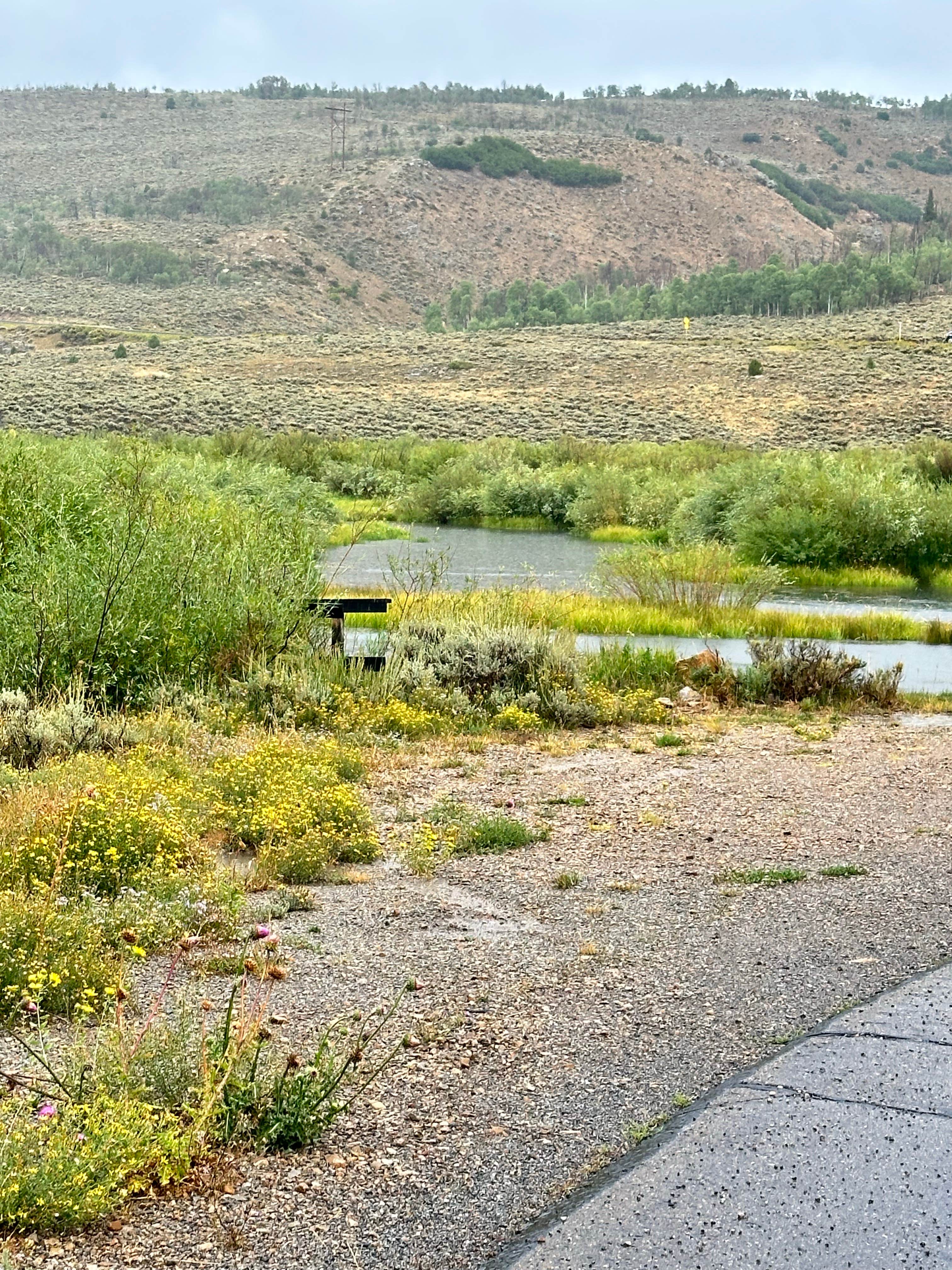 Camper submitted image from Madsen Bay Campground — Scofield State Park - 4