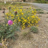 Review photo of Madsen Bay Campground — Scofield State Park by Tamie S., November 10, 2025