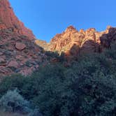 Review photo of Snow Canyon State Park Campground by micah , May 27, 2024
