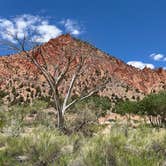 Review photo of Snow Canyon State Park Campground by Andrew H., May 22, 2026