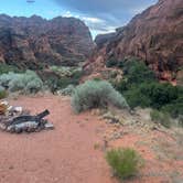 Review photo of Snow Canyon State Park Campground by Kristi P., May 28, 2024