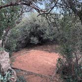 Review photo of Snow Canyon State Park Campground by Andrew H., May 22, 2026