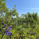 Review photo of South Fork (UT) by Rye C., May 28, 2025