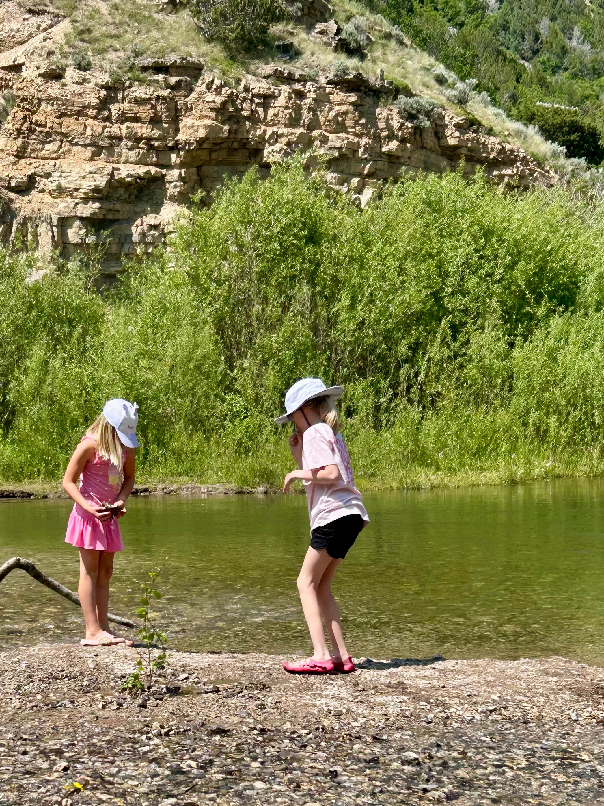 Camper-submitted photo at Spring Hollow Campground near Howell, UT