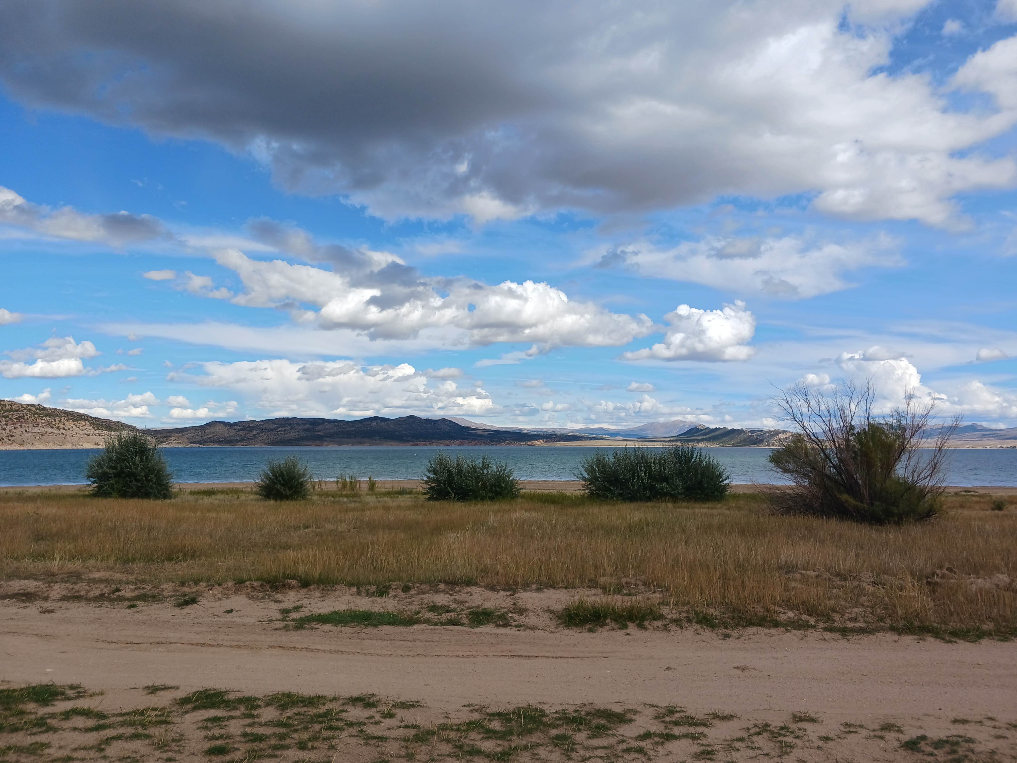Camper-submitted photo at Stateline Cove Campground near Manila, UT