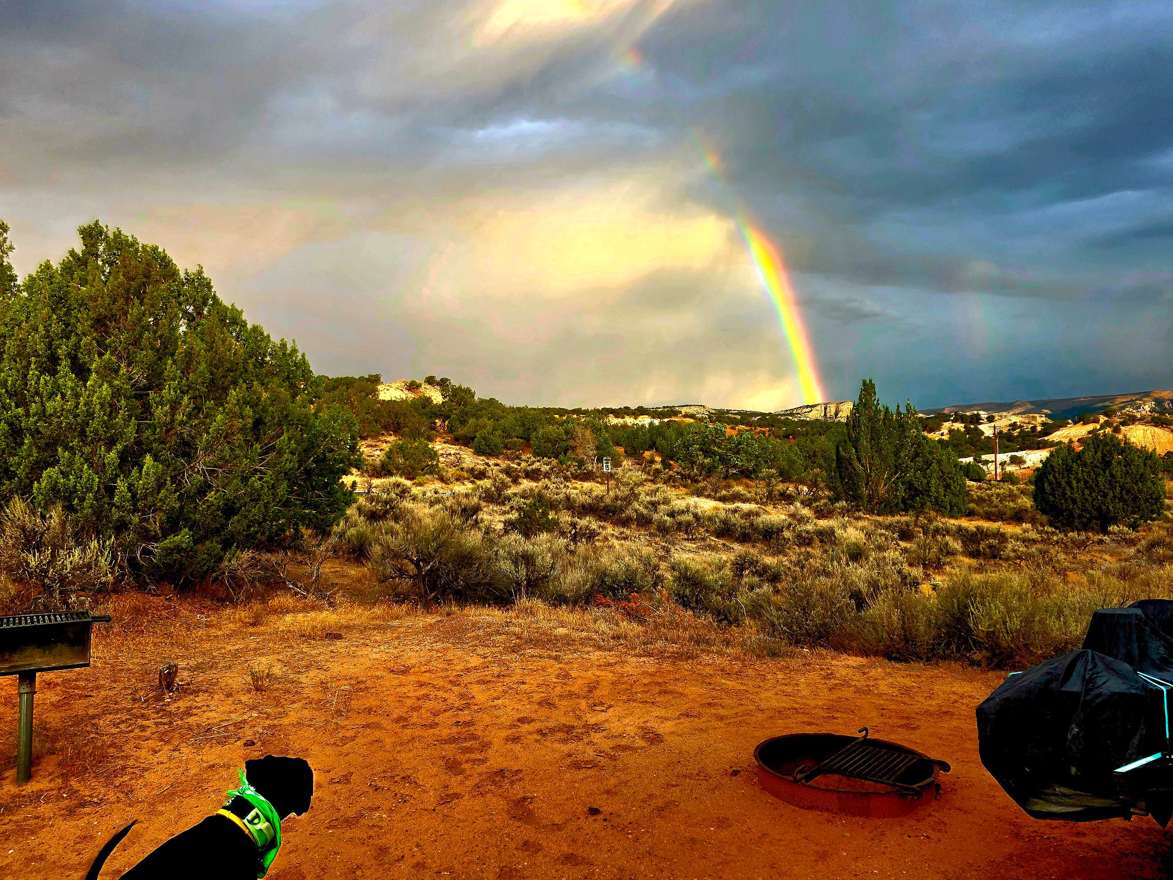 Don R.'s photo at Steinaker State Park Campground near Neola, UT